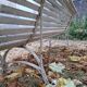 Pair of antique wooden slatted benches with wrought iron legs.