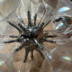 Vintage Sputnik Chandelier