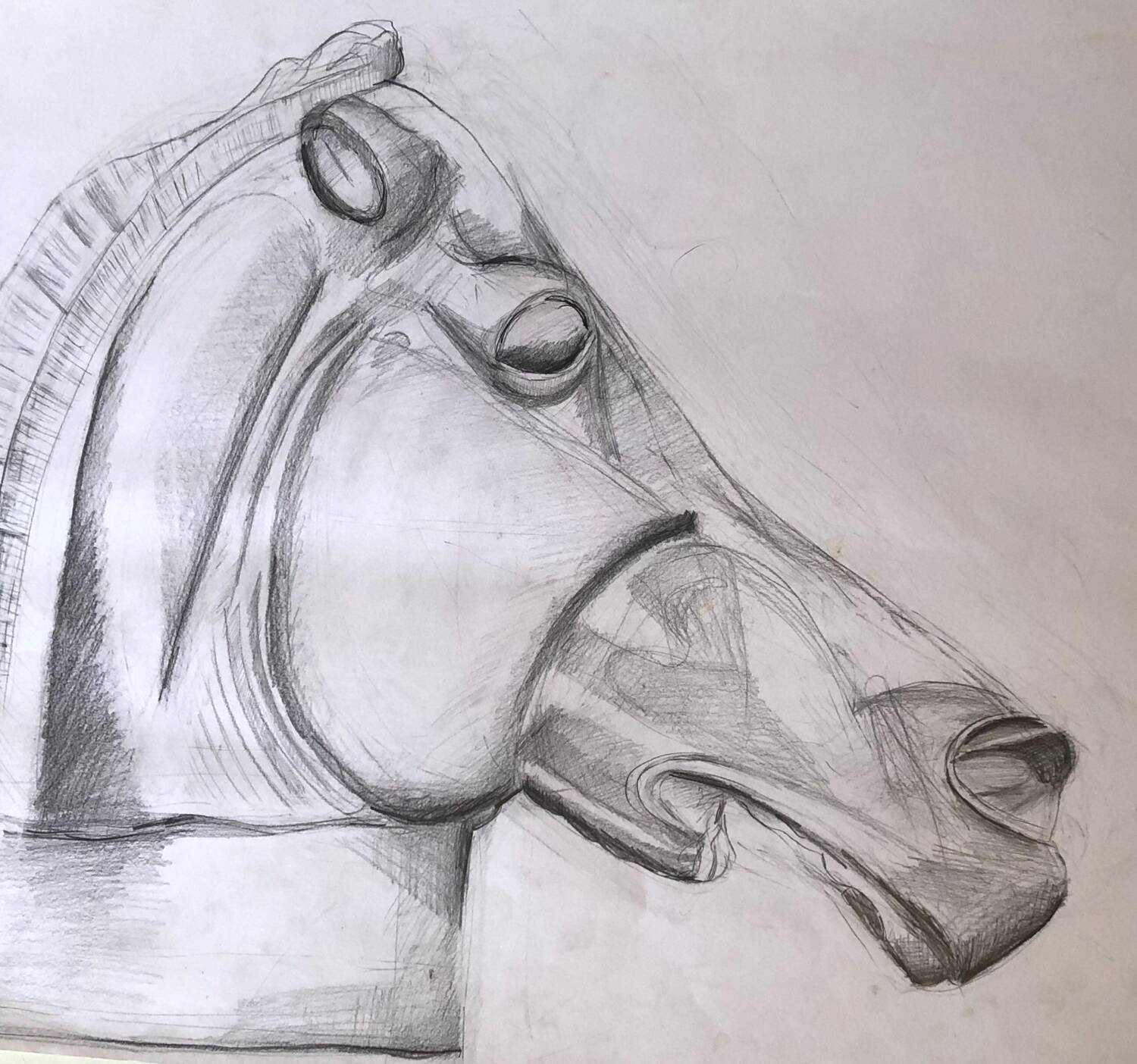 Illustration Horse