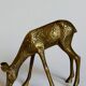 Solid brass doe