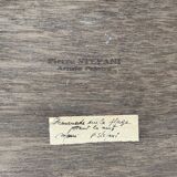 Painting on canvas Pierre Stafani