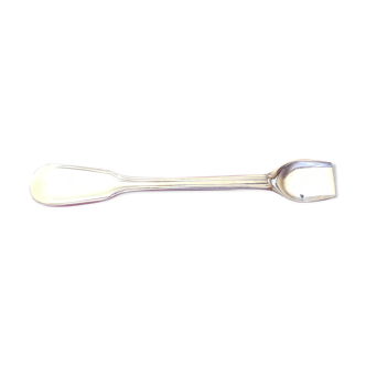 Salt spoon