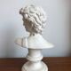Bust David in stone