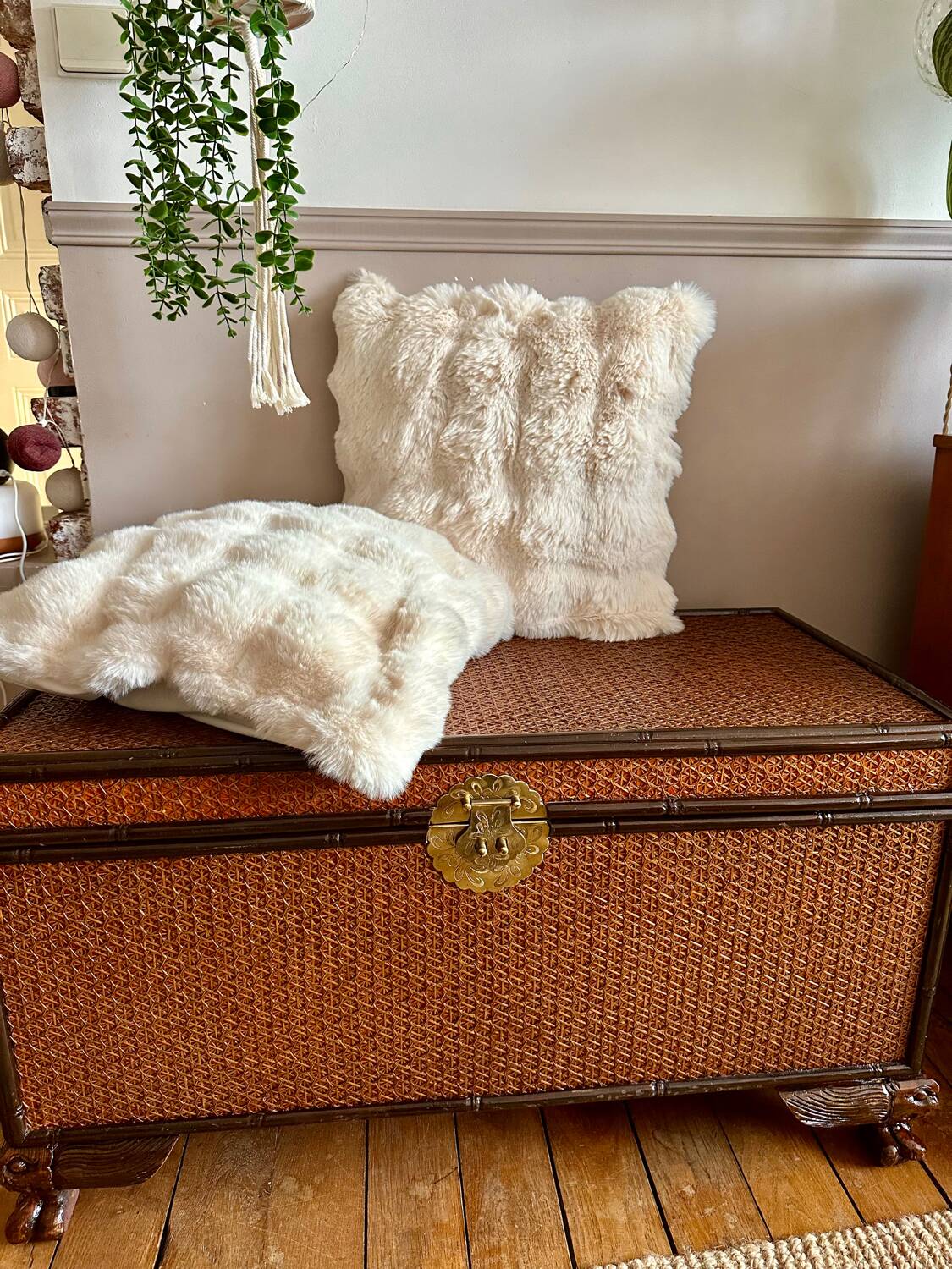 Wooden and cane trunk