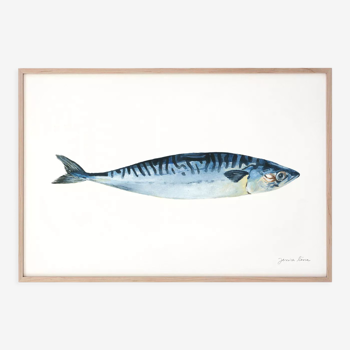 "Roseline", mackerel, art print 21/29.7 cm