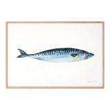 "Roseline", mackerel, art print 21/29.7 cm