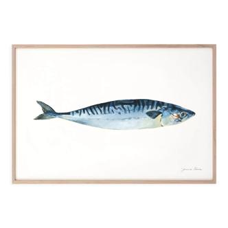 "Roseline", mackerel, art print 21/29.7 cm