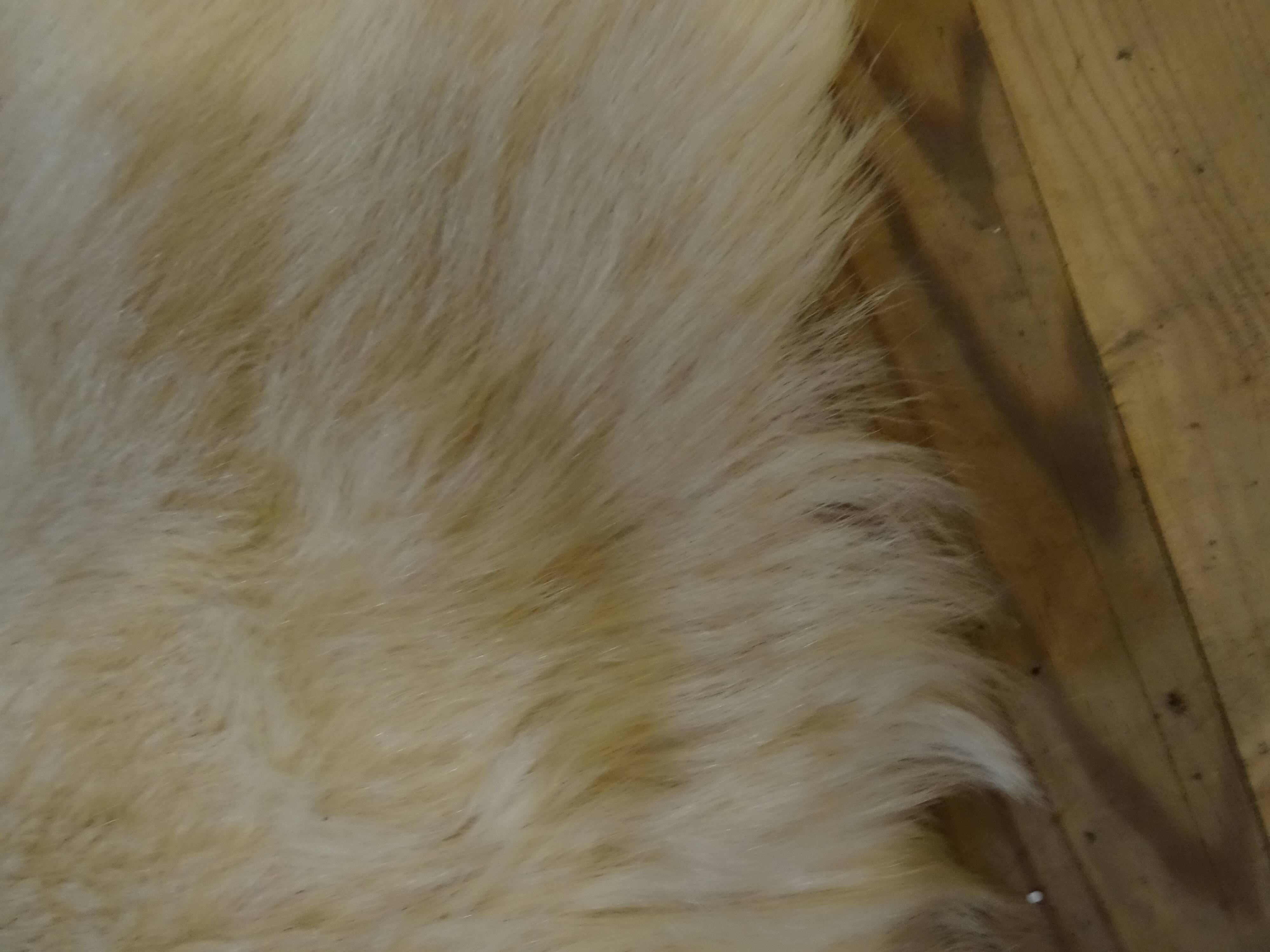 Goatskin rug