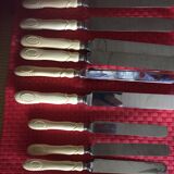 10 Ivory Handled Knives Monogram