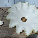 White and yellow opaline suspension