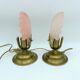 Pair of vintage brushed glass and brass shell lamps