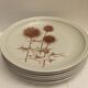 Set of 6 sandstone plates