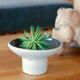 White and Black ceramic pot, years 60