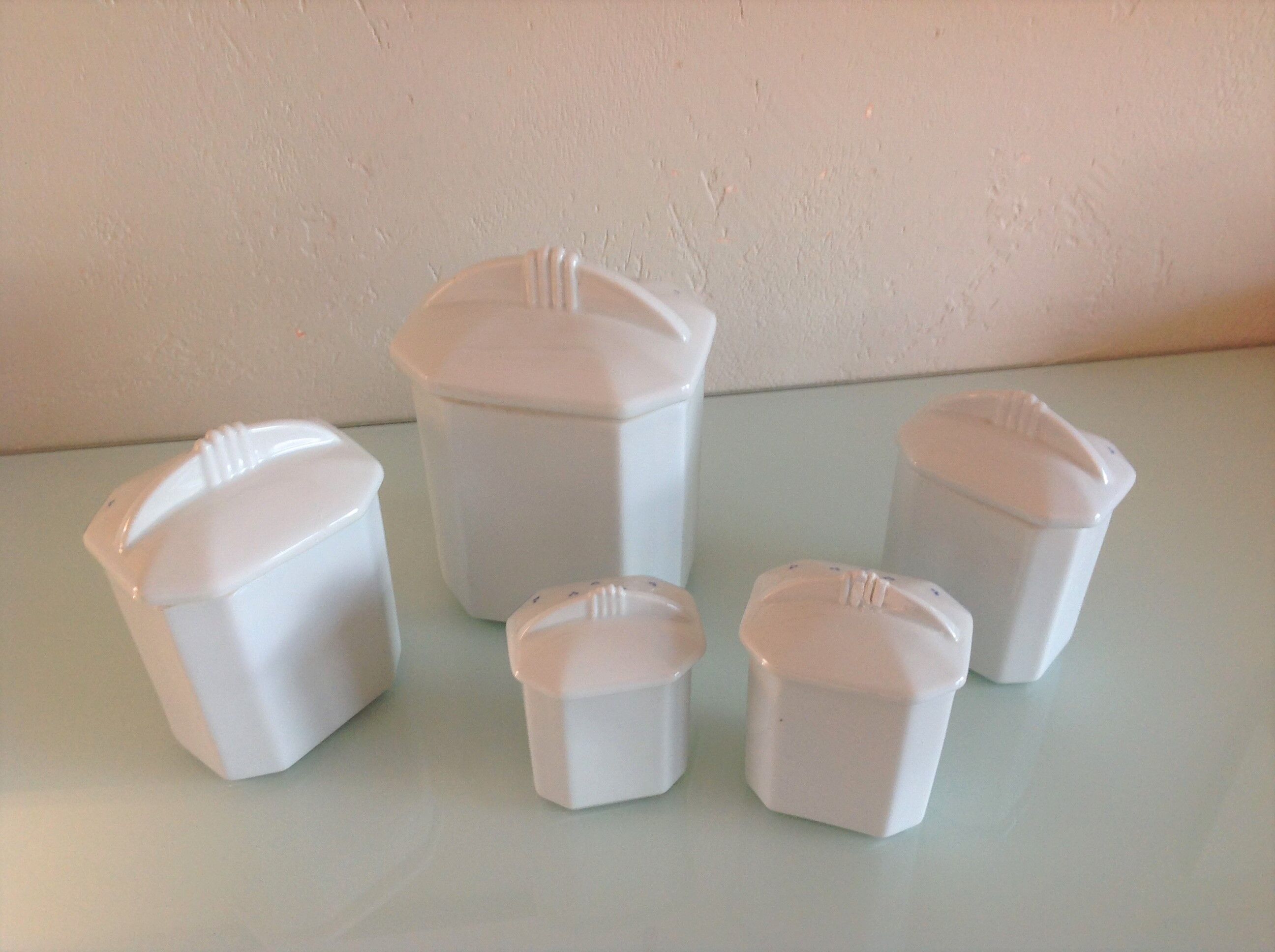 Suite of five Apilco porcelain spice jars / vintage 70s