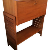 Modular Cabinet Scandinavian Ladderax 1960