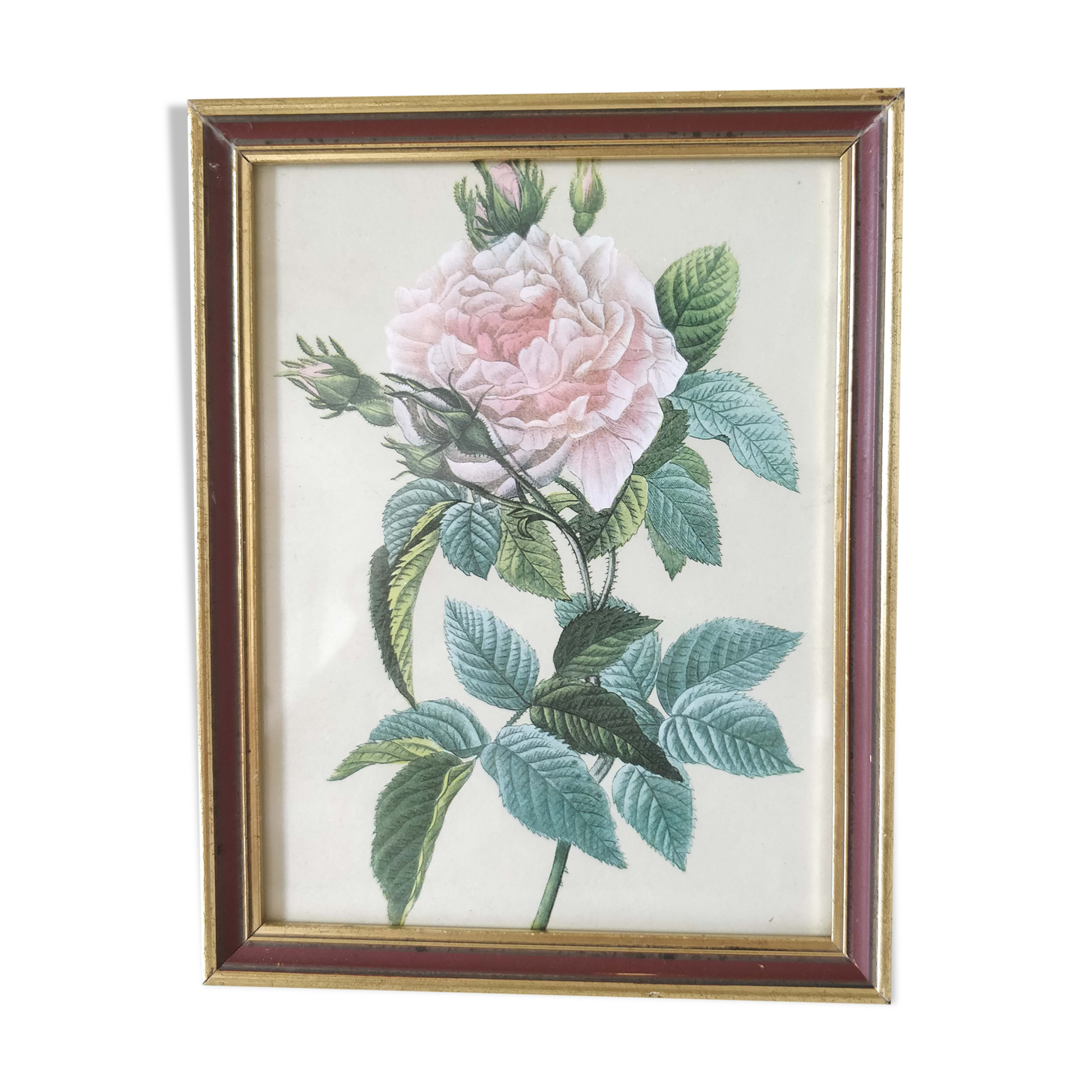 Golden flower rose leaf