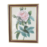 Cadre doré fleur rosier