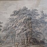 Jacobus Theodorus Abels (1803-1866) - Brown ink drawing on paper