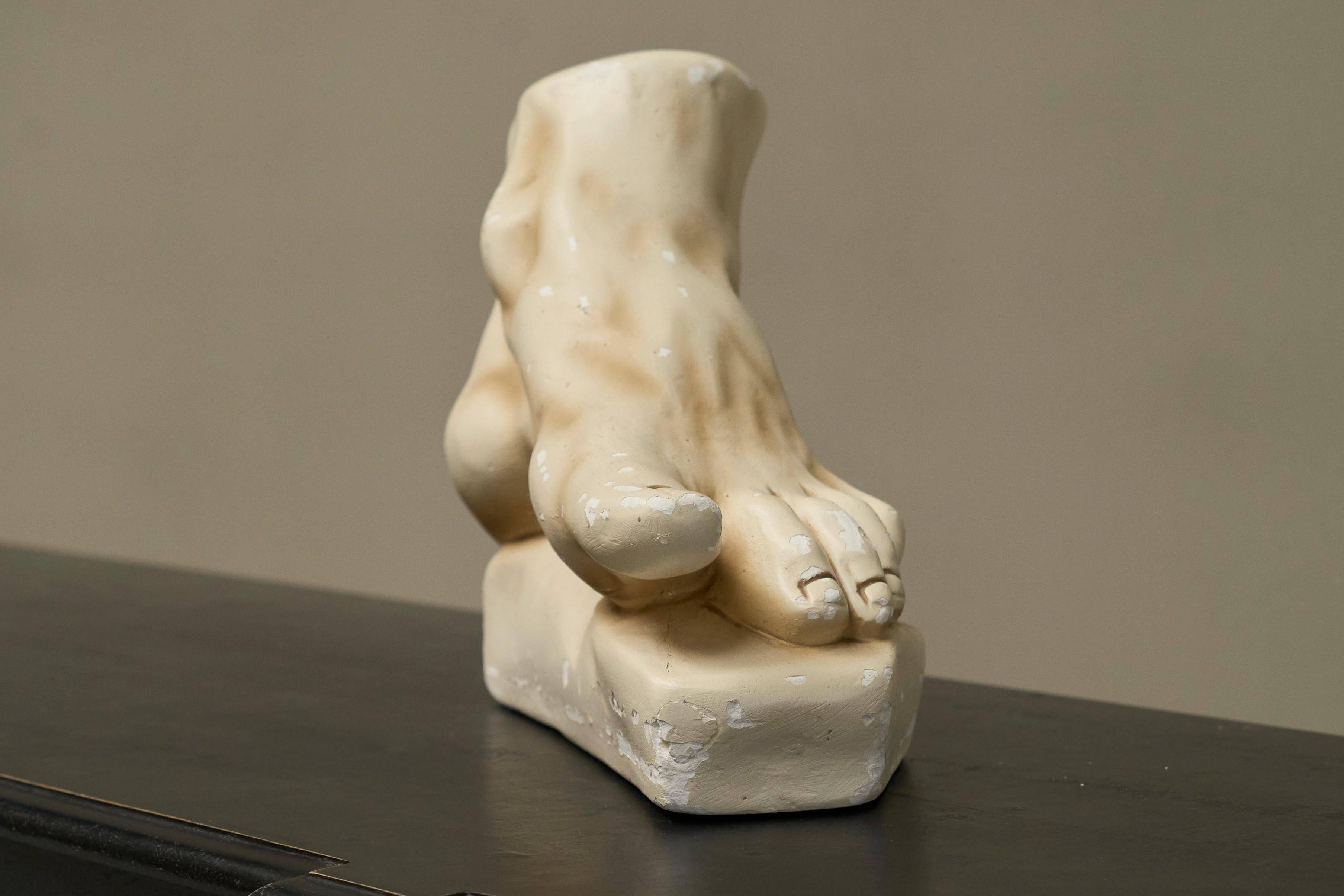 Anatomical study of a plaster foot from the 1950s.