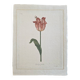 La Roche Laffitte (Born in 1943) - Watercolour drawing on silk - Tulip