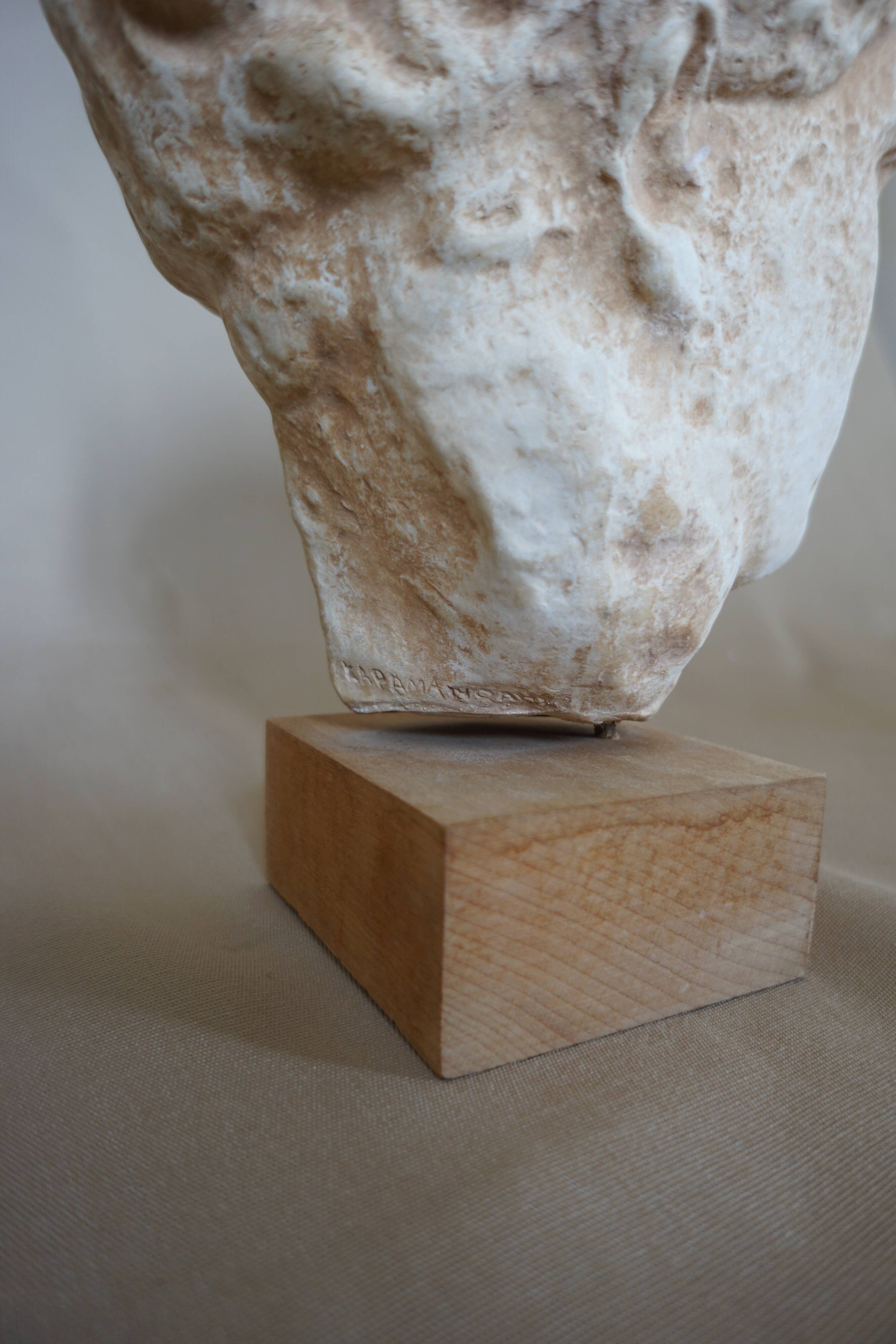 Head plaster goddess hygeia