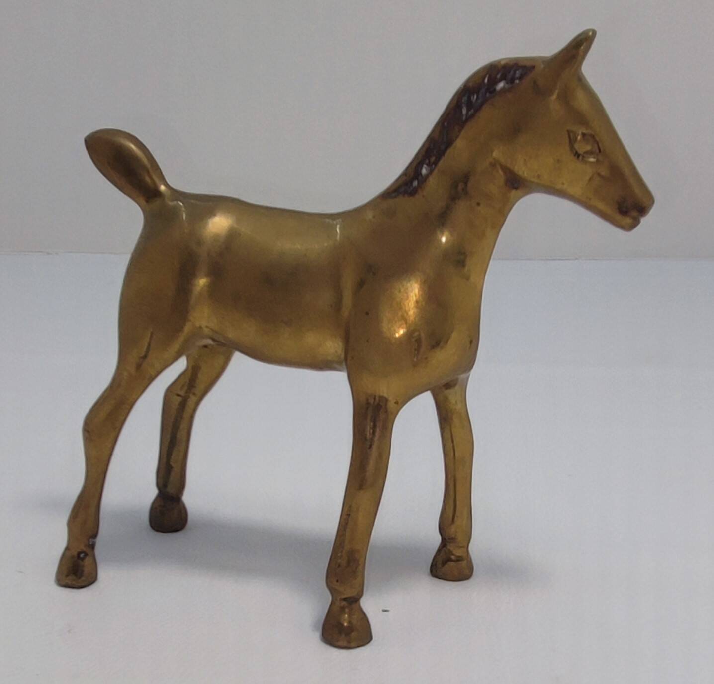 Brass foal
