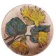 Mid-Century Ceramic Plate by Ruscha, Floral Décor, Germany, 1950s