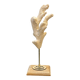 Branch of old natural white coral on wooden base cabinet of curiosities