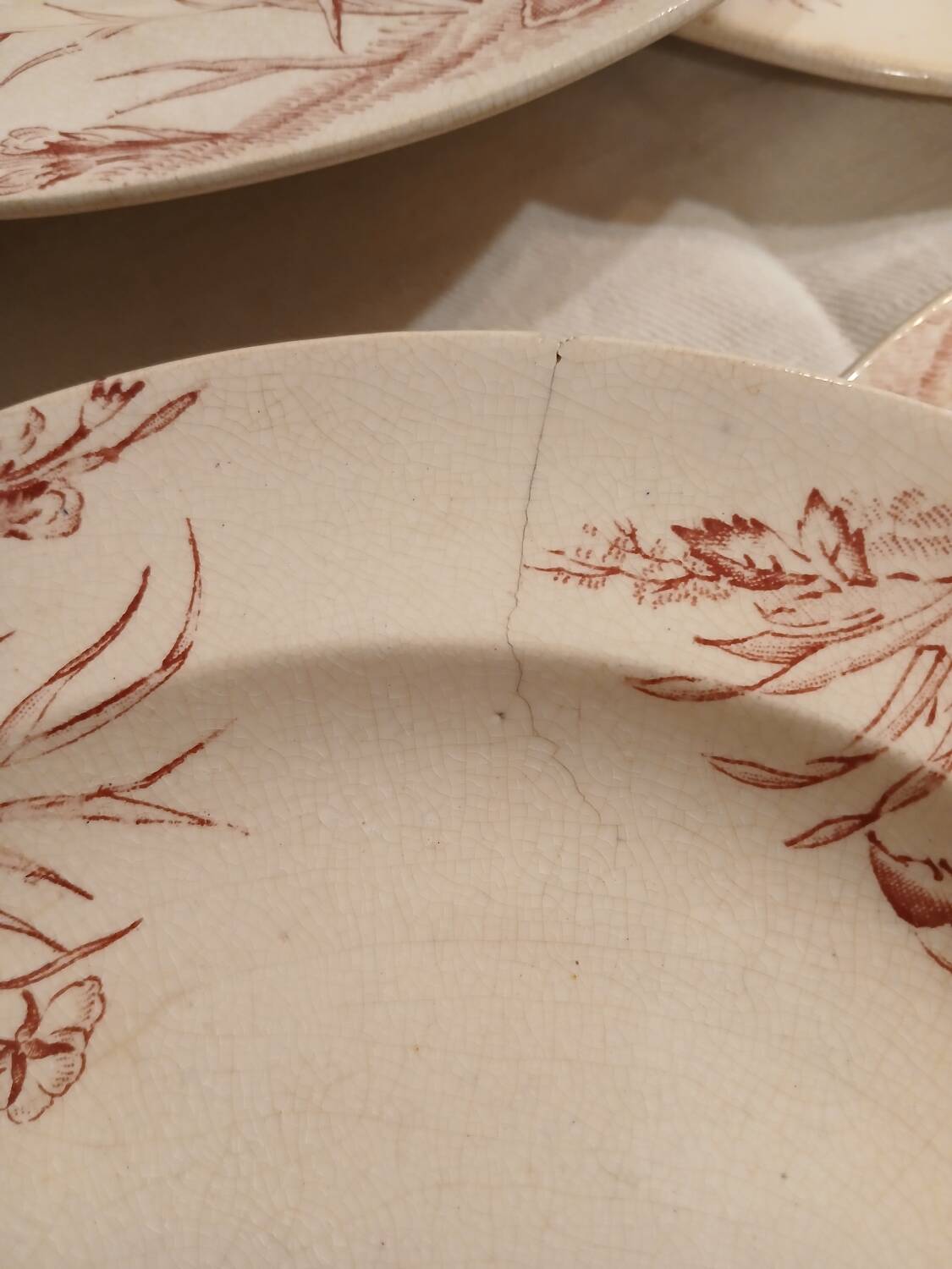 10 antique ironstone dinner plates