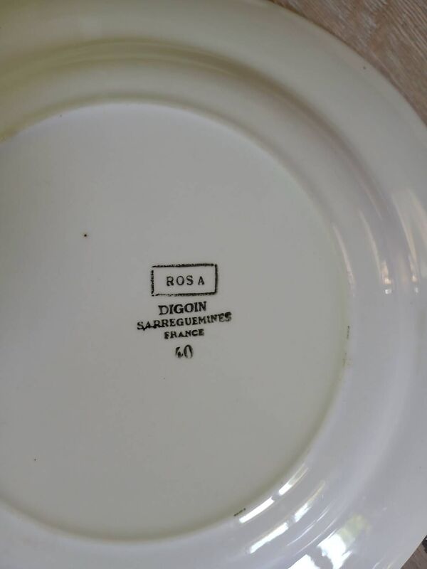 12 assiettes + 1 Plat Digoin et Sarreguemines