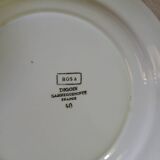 12 plates + 1 Digoin and Sarreguemines dish