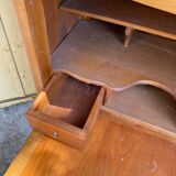 Secretary in ancient beech