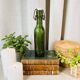 Old bottle “Brasseries Nantaises”