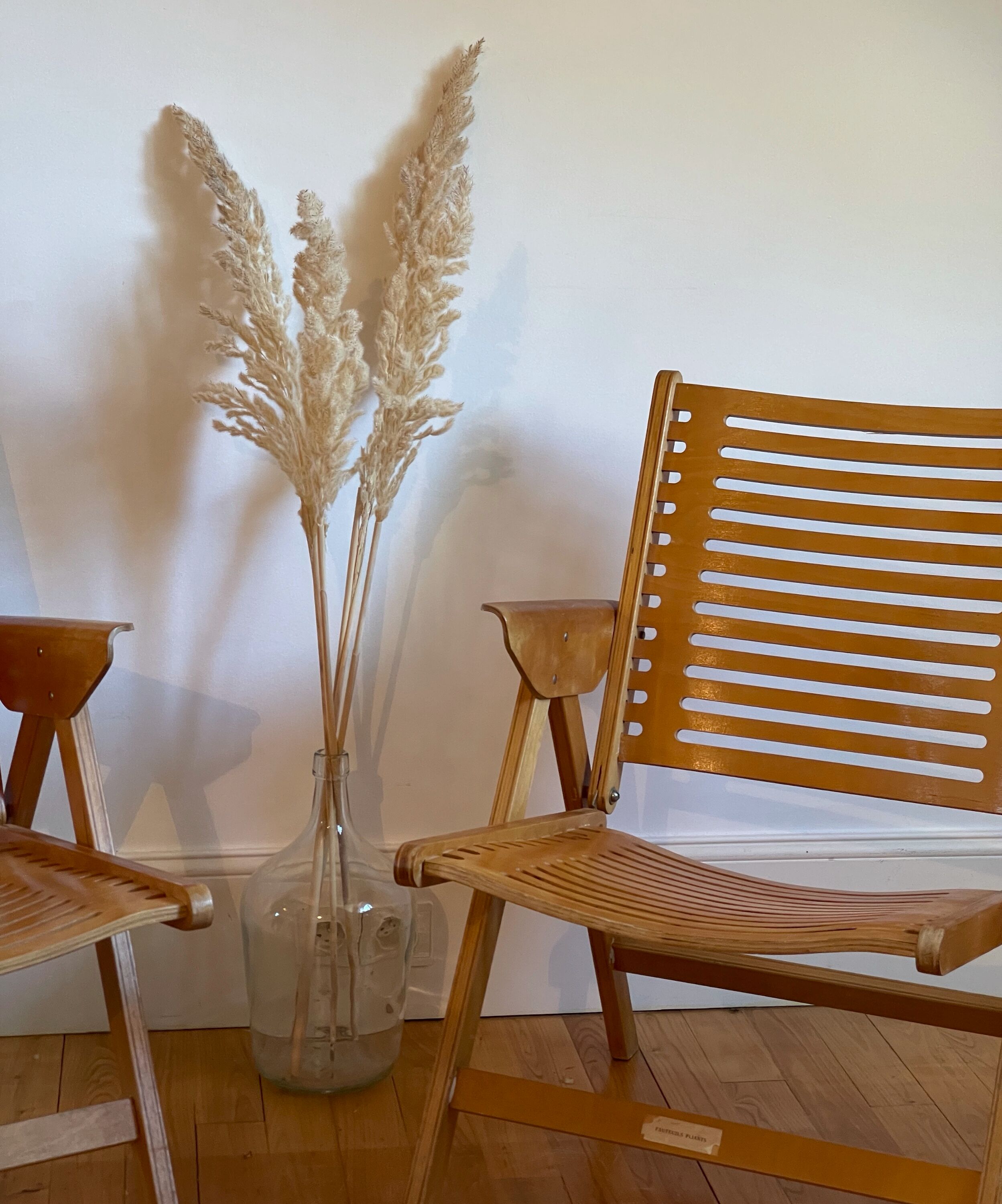 Pair of Rex armchairs by Niko Krajl for Impakta Les, 1956