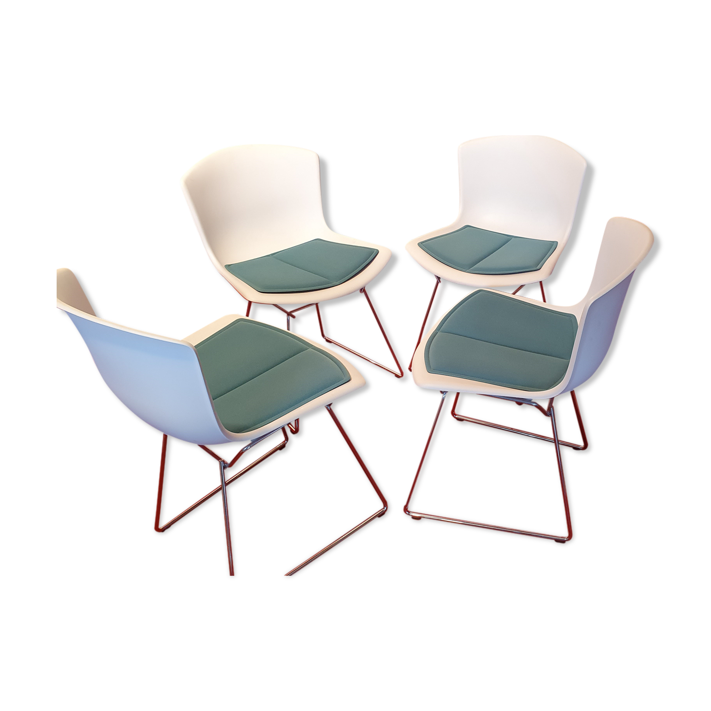4 chairs by Bertoia Harry, Knoll edition