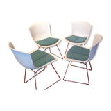 4 chairs by Bertoia Harry, Knoll edition