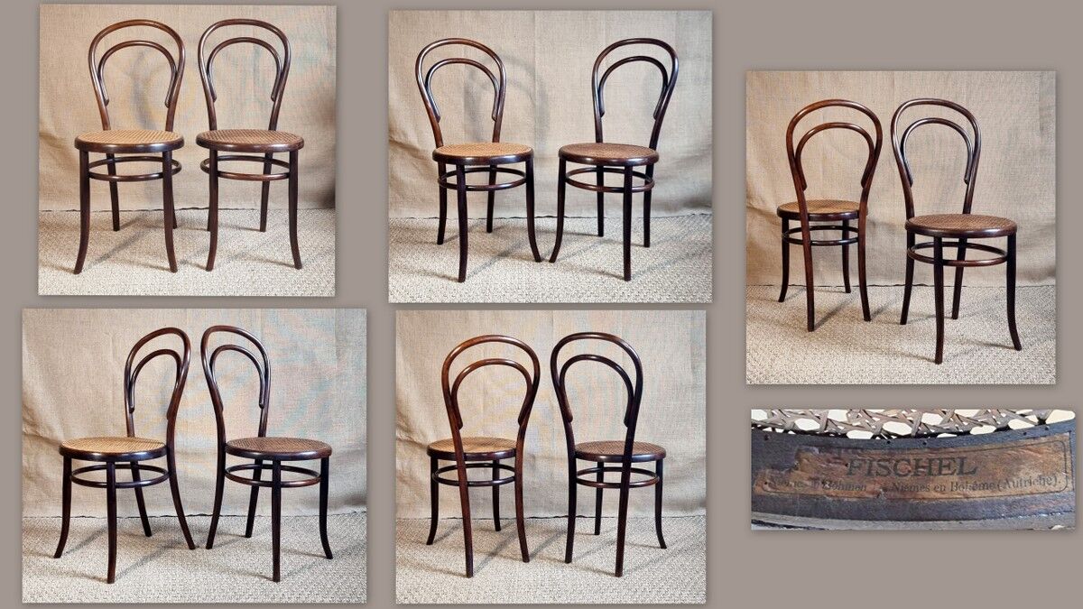 Pair of chair n°14 Fischel 1900 ca