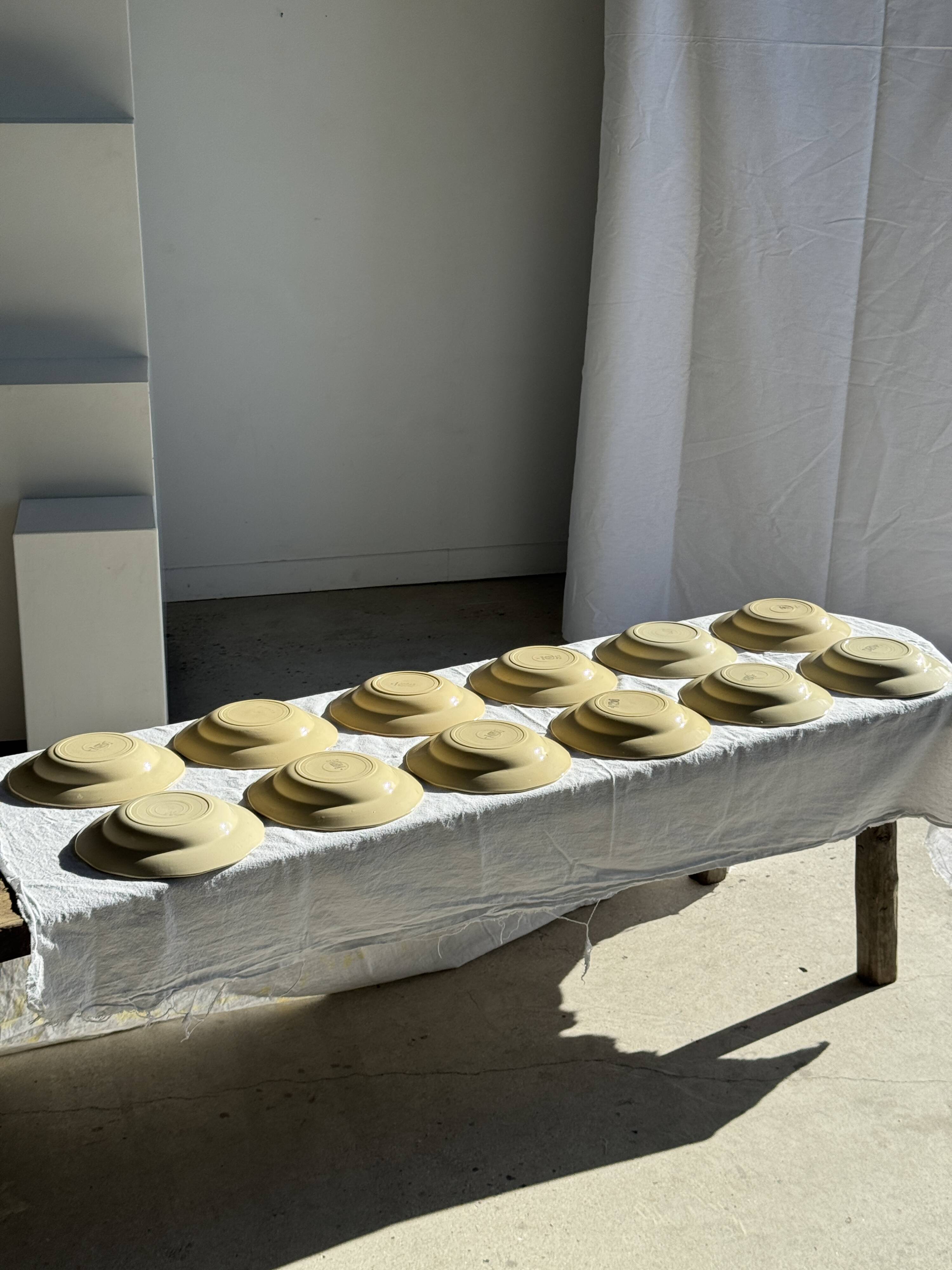 Set of 12 beige, pink, and blue deep plates from Digoin Sarreguemines, vintage.