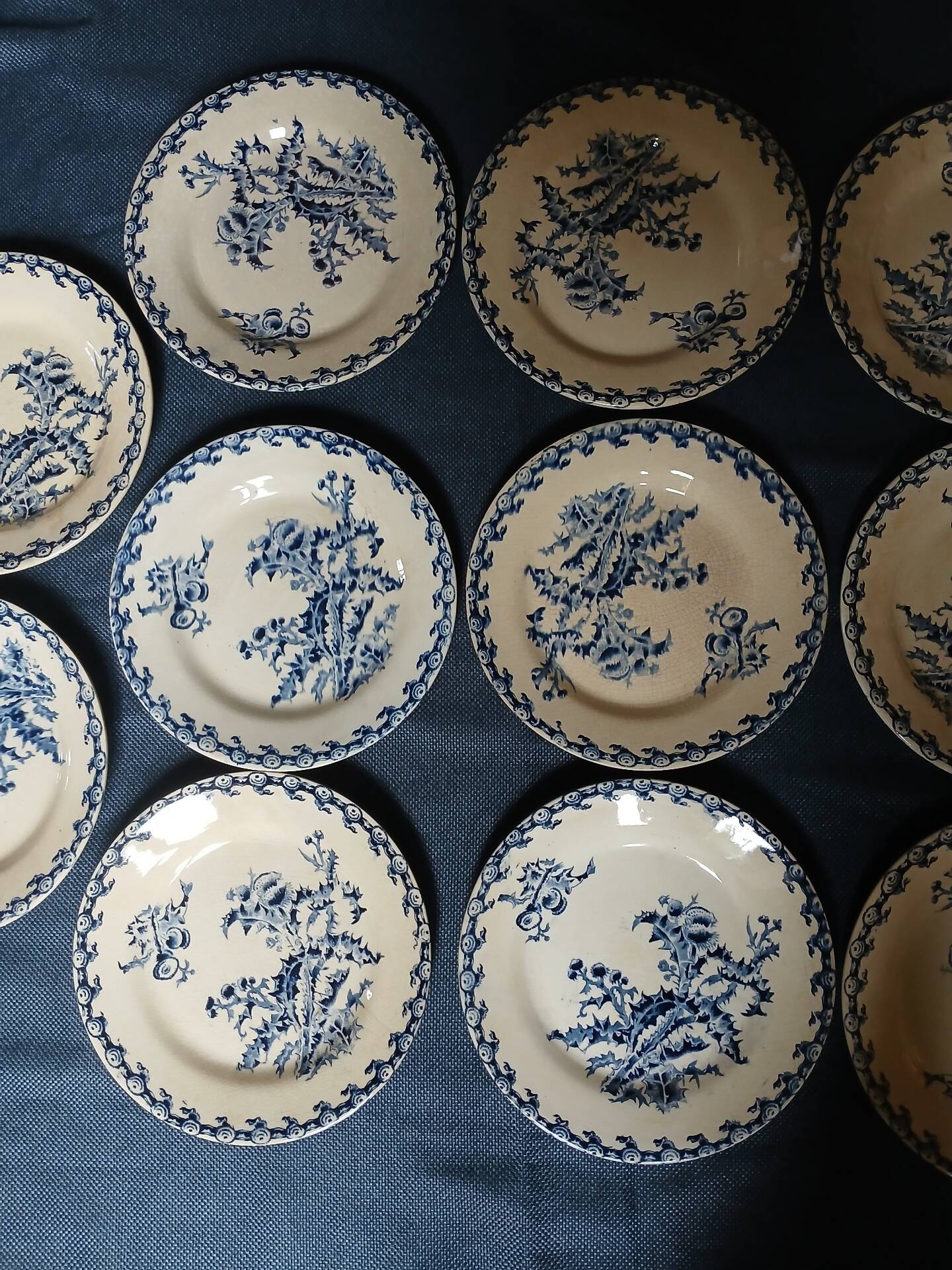 14 dinner plates + 2 "Chardons" dishes from Gien