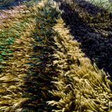 Green scandinavian modernist design wool rya rug woven handmade vintage 1960s