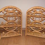 Peacock shelving lot