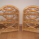 Peacock shelving lot