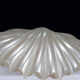 Liane Rougier lamp shell Benetier design 1970 in methacrylate
