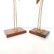 Couple blue herons and wood