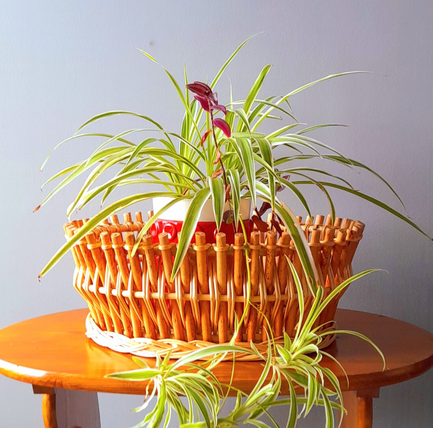 Rattan and bamboo planter 60s