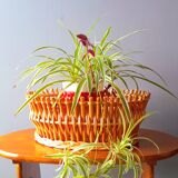 Rattan and bamboo planter 60s