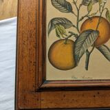 Tableau aux oranges et son cadre en bois