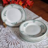 10 assiettes plates Saint Amand 1932