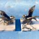 Paire de serre livres oiseaux art deco