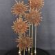 Cabinet of Curiosities globe with starfish heliaster kubiniji